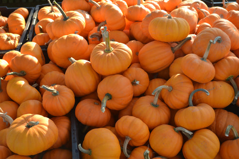 Pumpkins